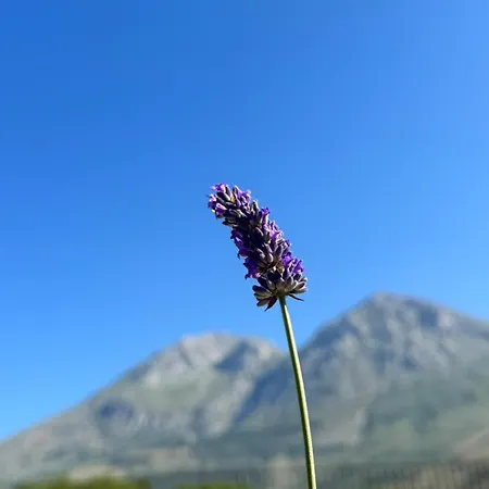 Glamping Monte Velino Luxuszelt Massa d'Albe