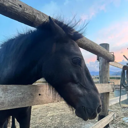 Glamping Monte Velino