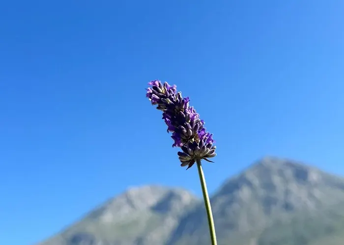 Glamping Monte Velino Luxussátor Massa d'Albe