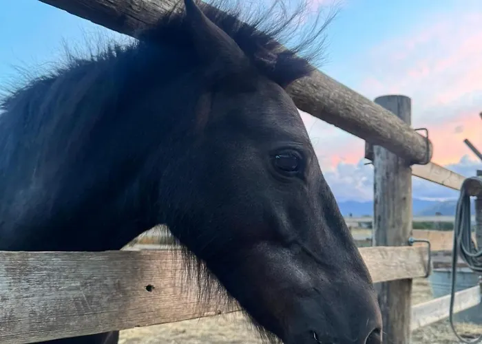 Glamping Monte Velino